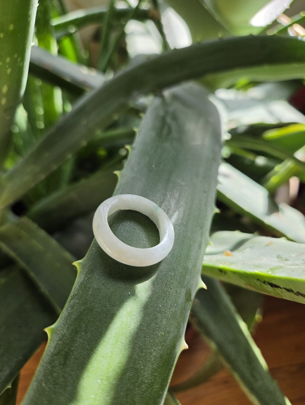 Jade Band Ring. Size 8. Unisex